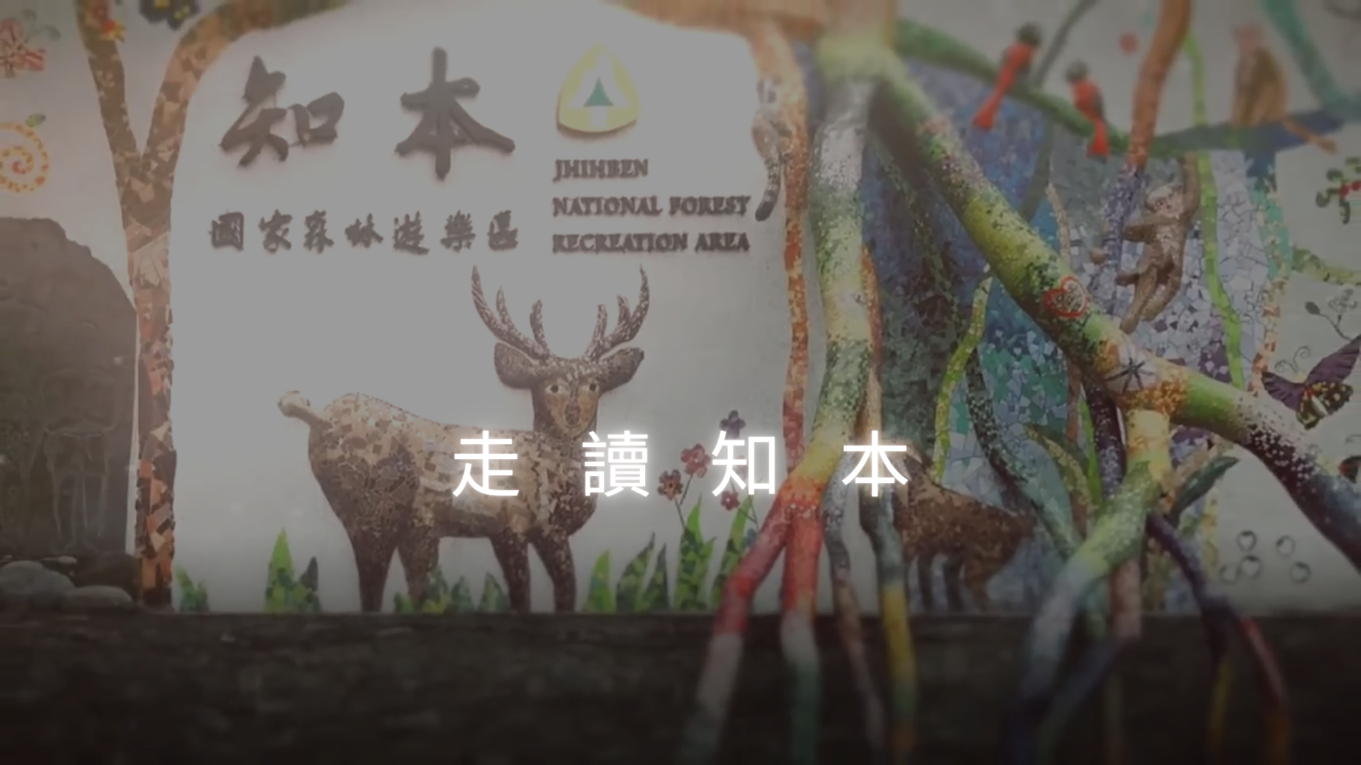 video-section-banner-image