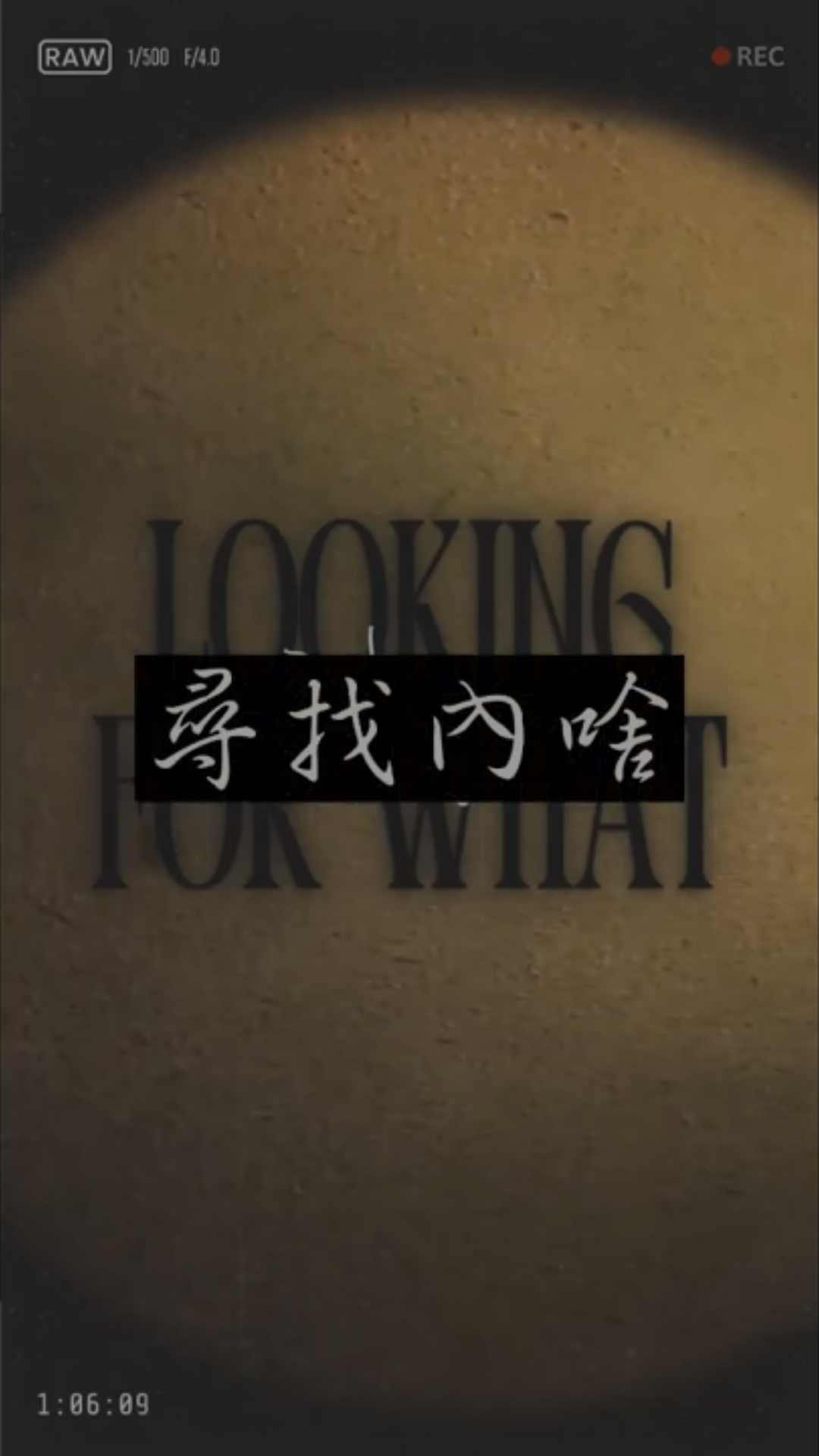 《尋找內啥》