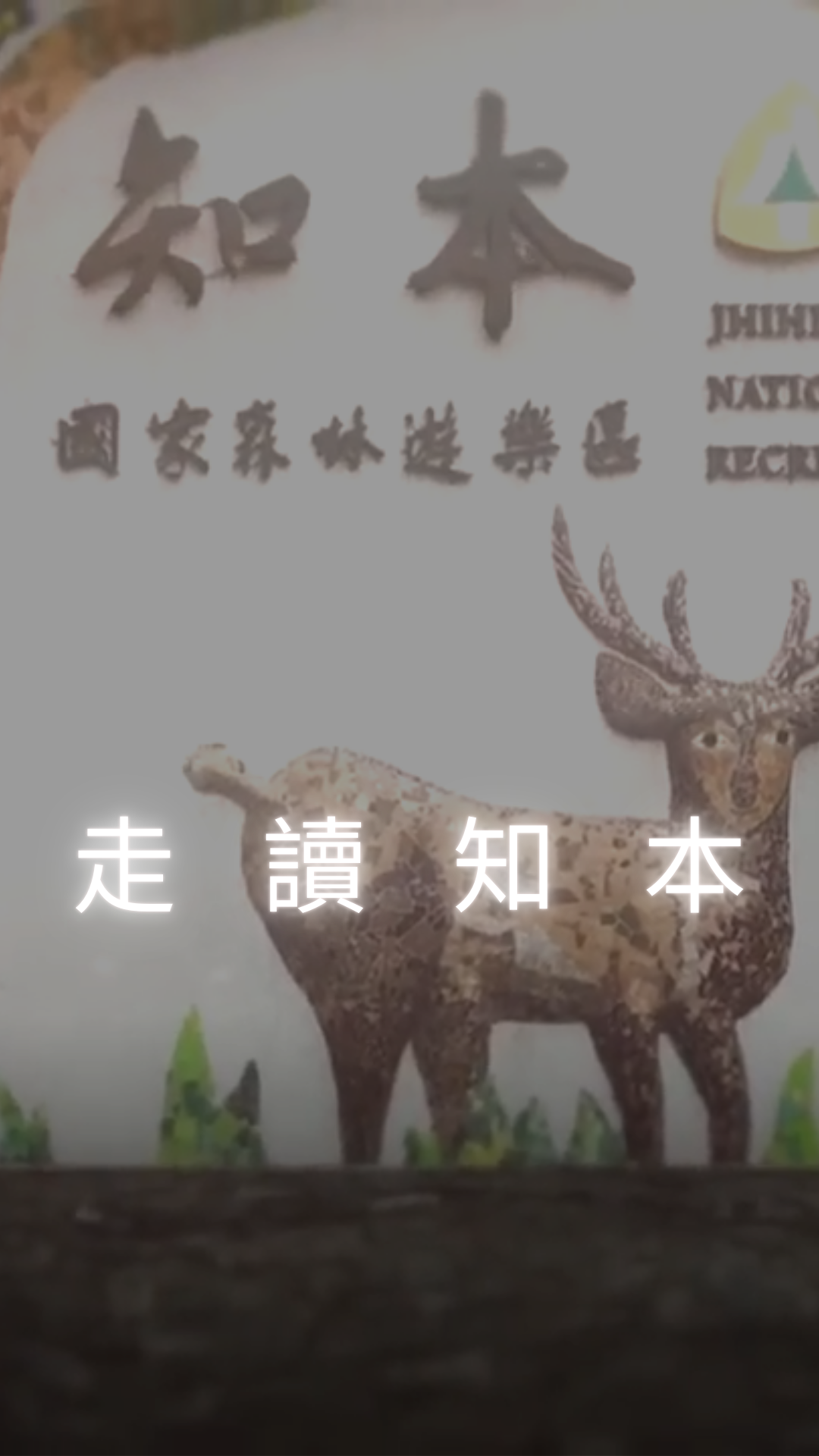 電影卡