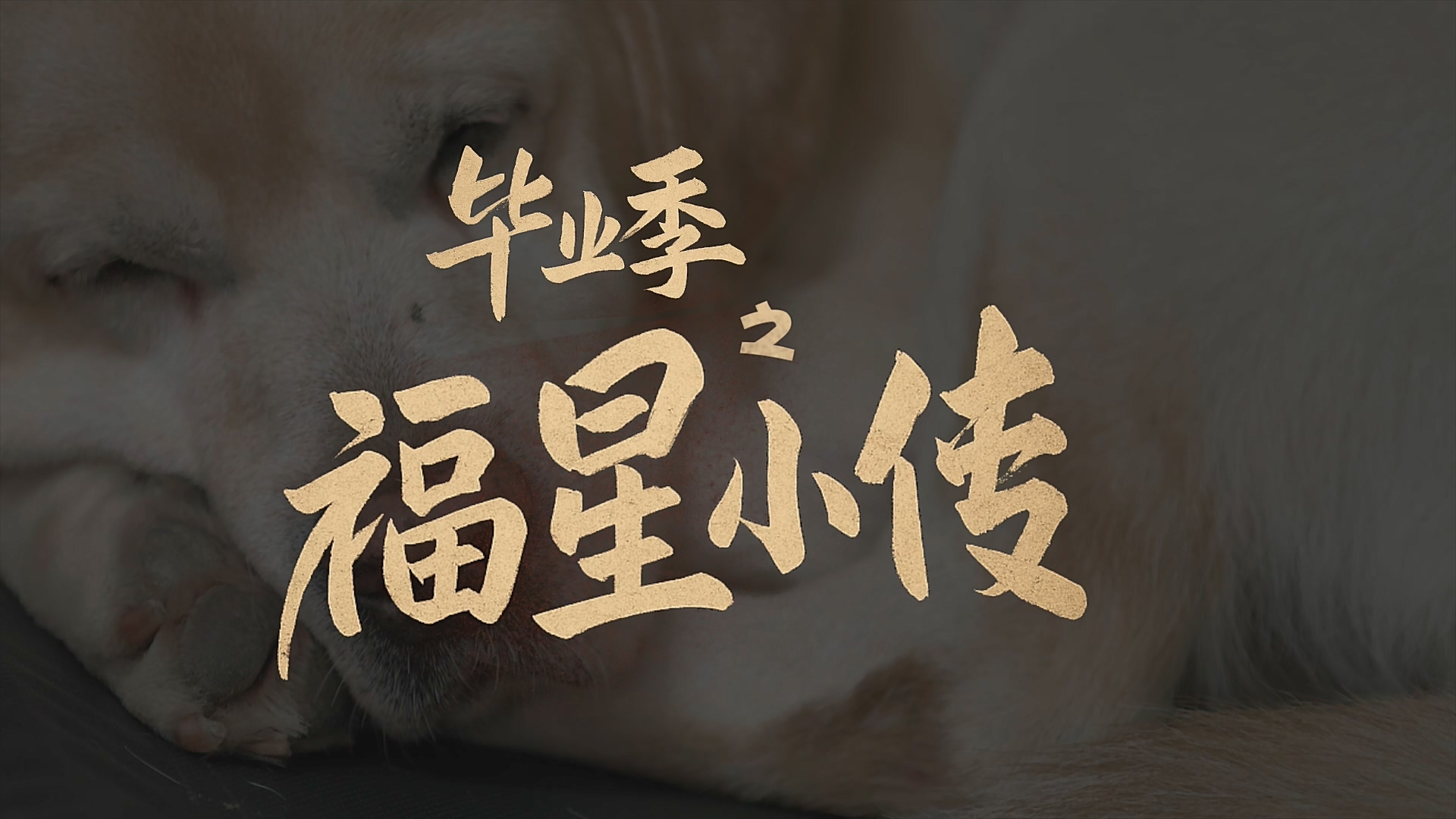 畢業季之福星小傳