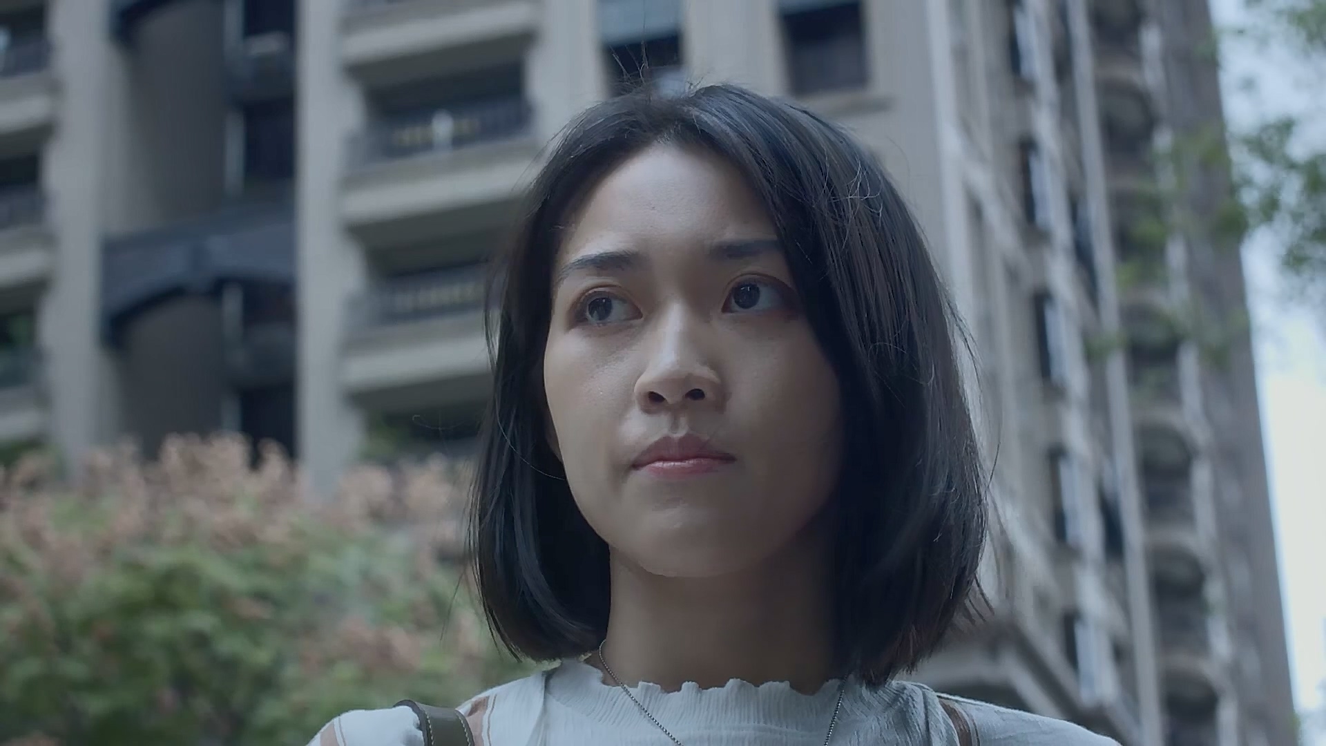 婚前交付 第二集